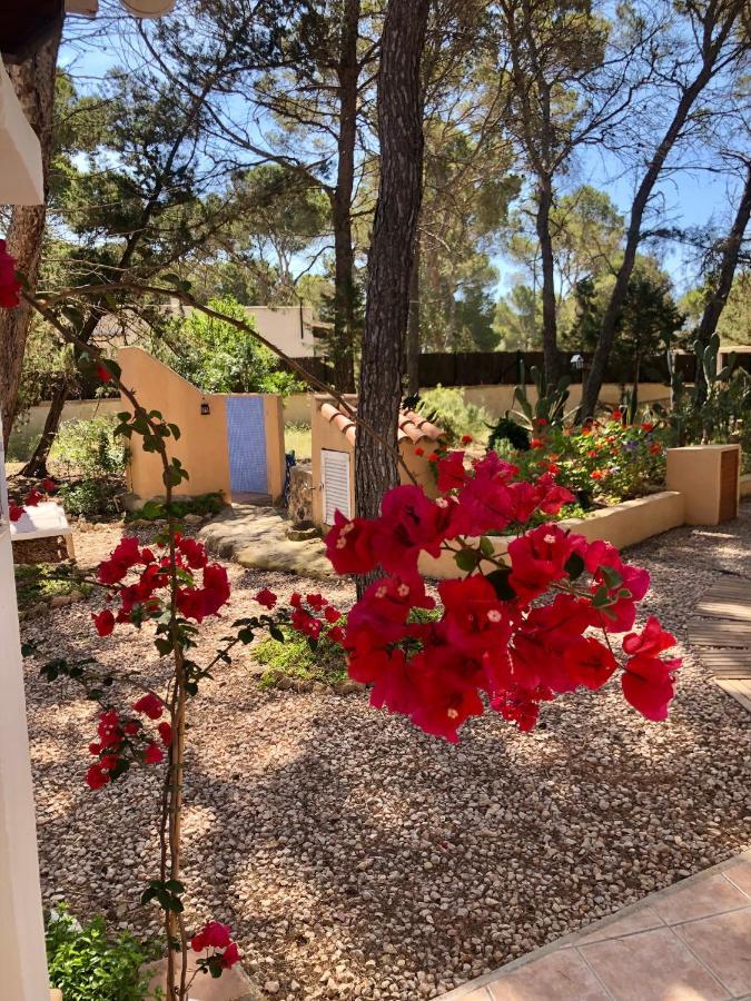 Apartamento Sa Ginebra, Cala Saona Esterno foto