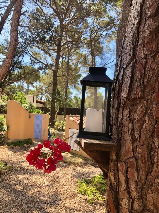 Apartamento Sa Ginebra, Cala Saona Esterno foto