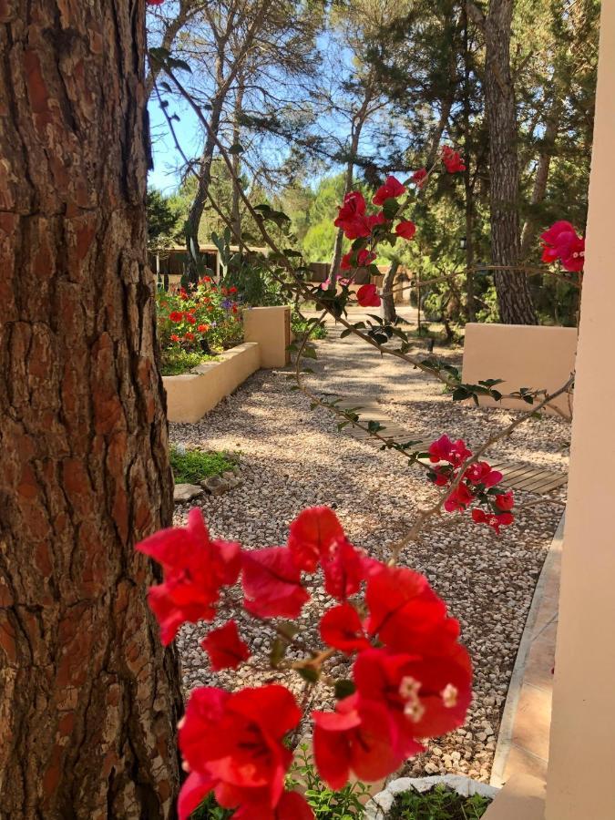 Apartamento Sa Ginebra, Cala Saona Esterno foto